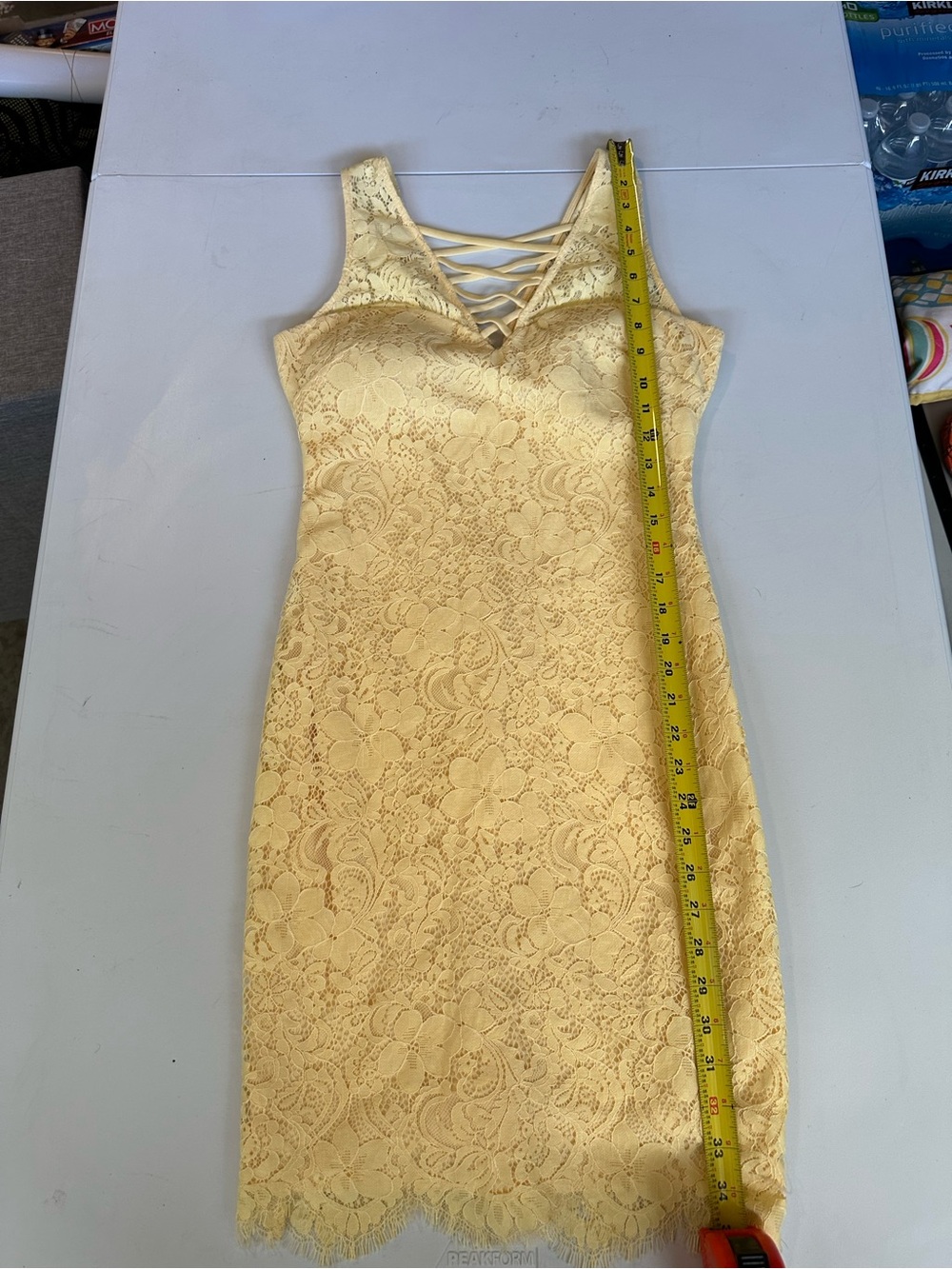 Lace Bodycon Mini Dress